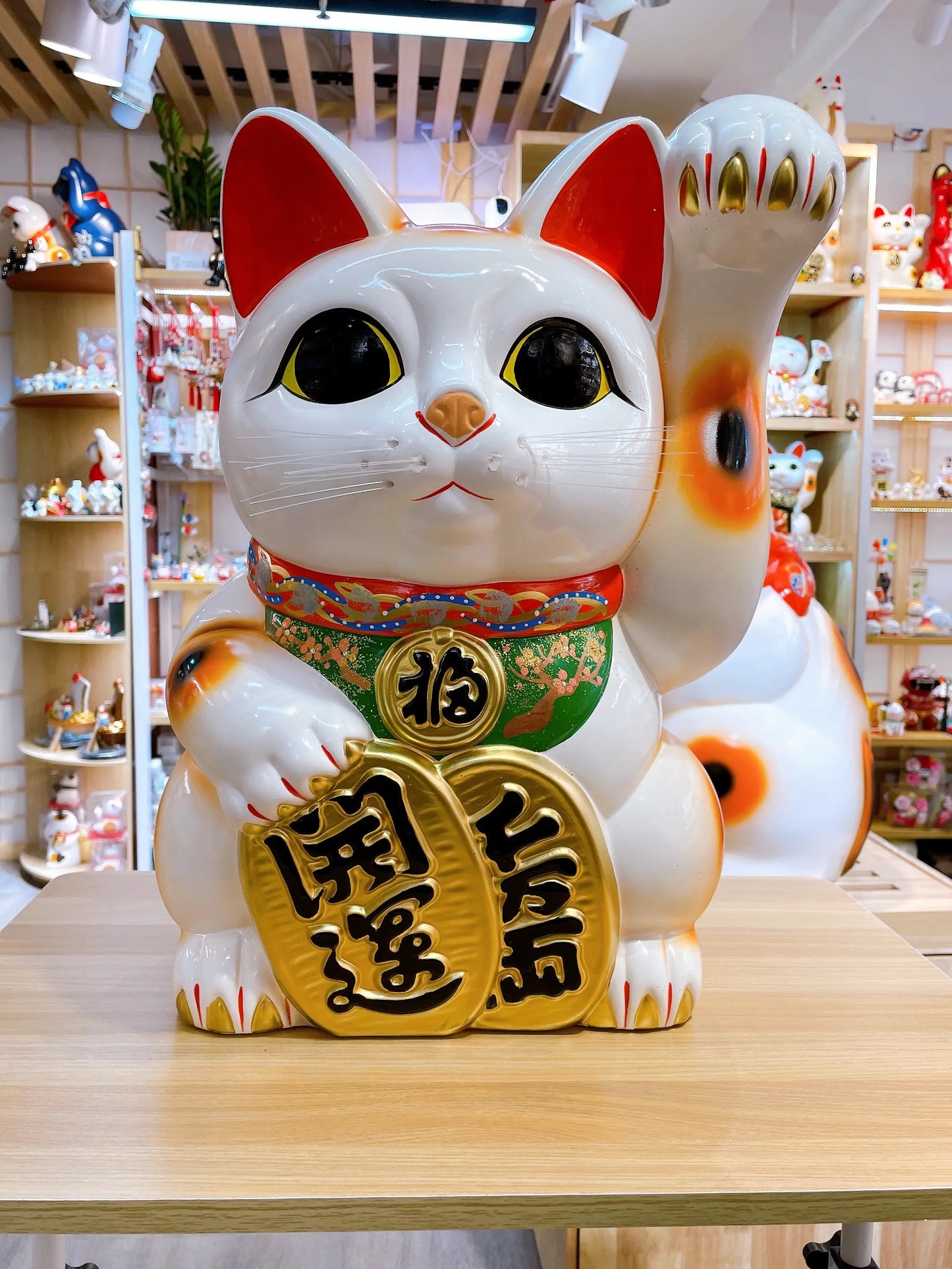 日本常滑小判招財貓 15號 左