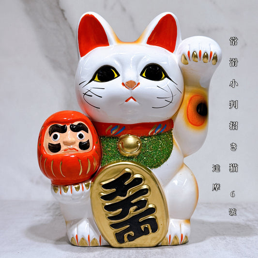日本常滑小判招財貓 達摩 6號