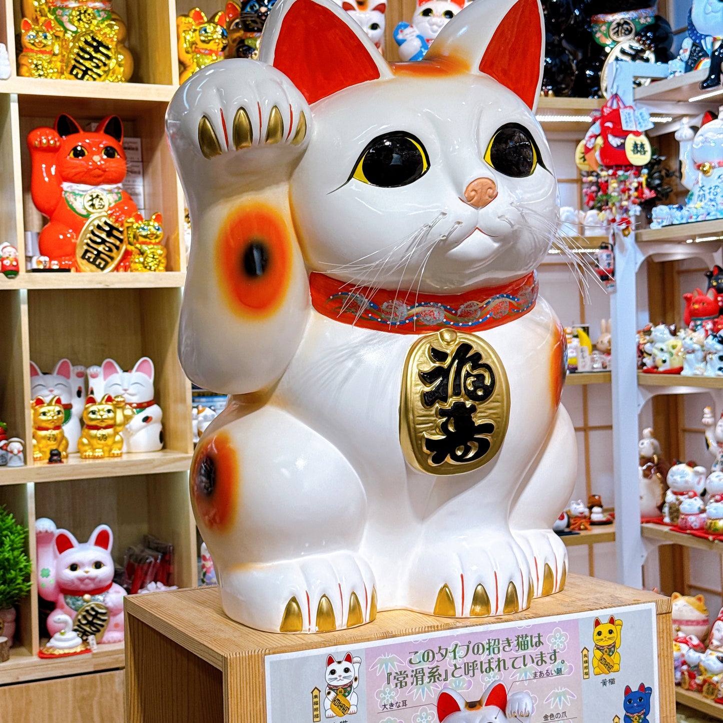 日本常滑招福貓 20號