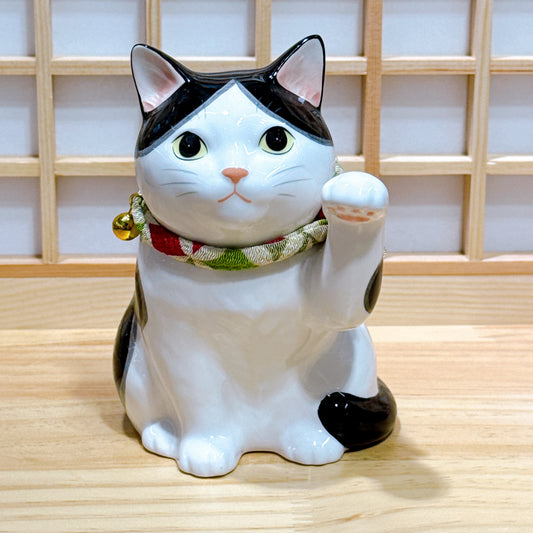 日本招福藥師招財貓 家貓 黑白
