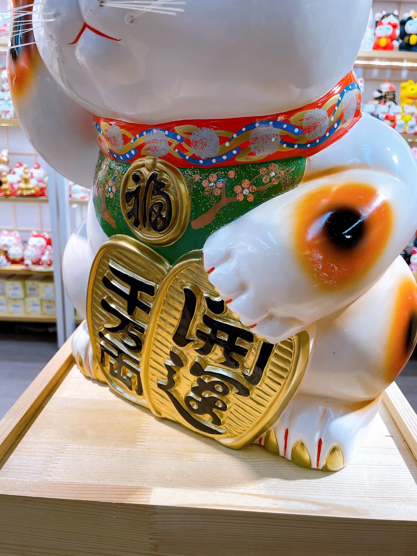 日本常滑小判招財貓 15號 右