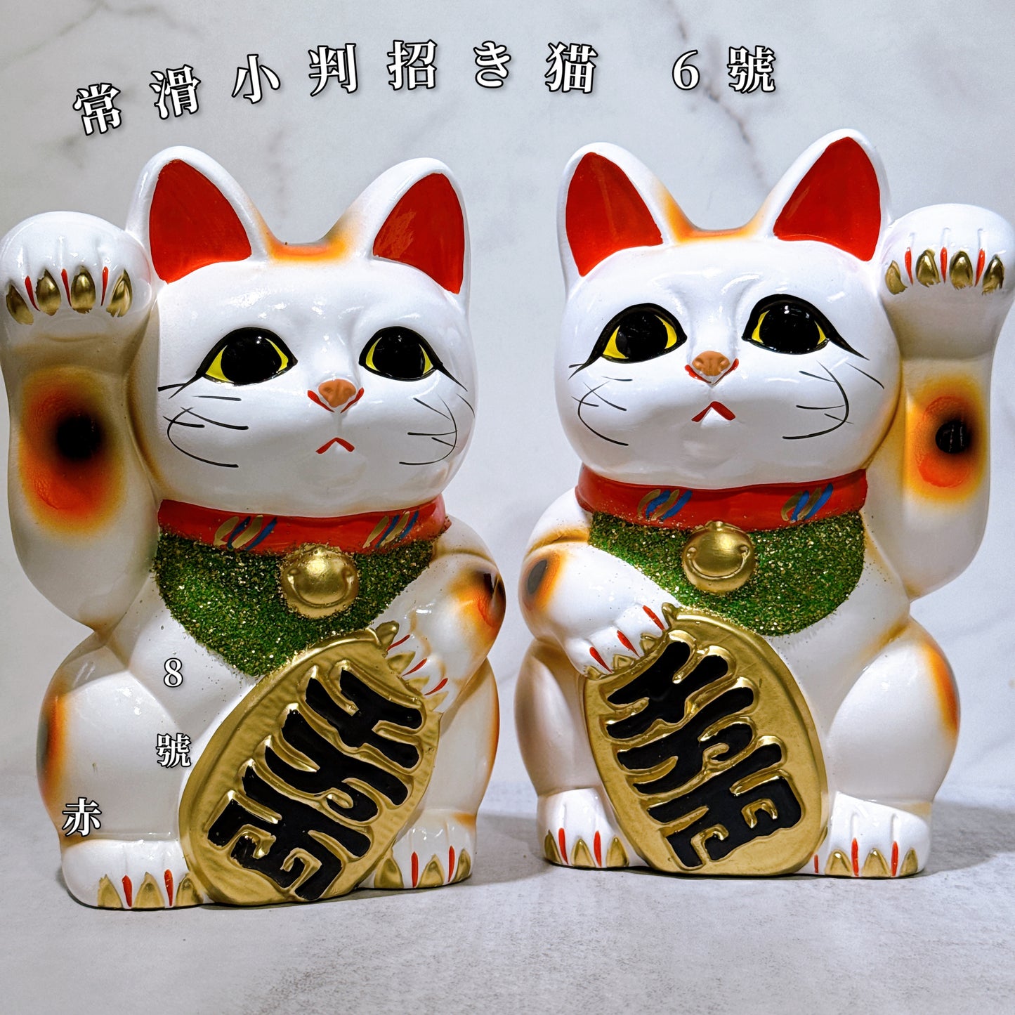 日本常滑小判招財貓 6號 白色