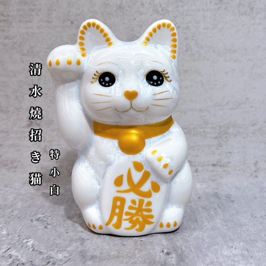 日本清水燒招財貓 花結晶 白 必勝 右 特小