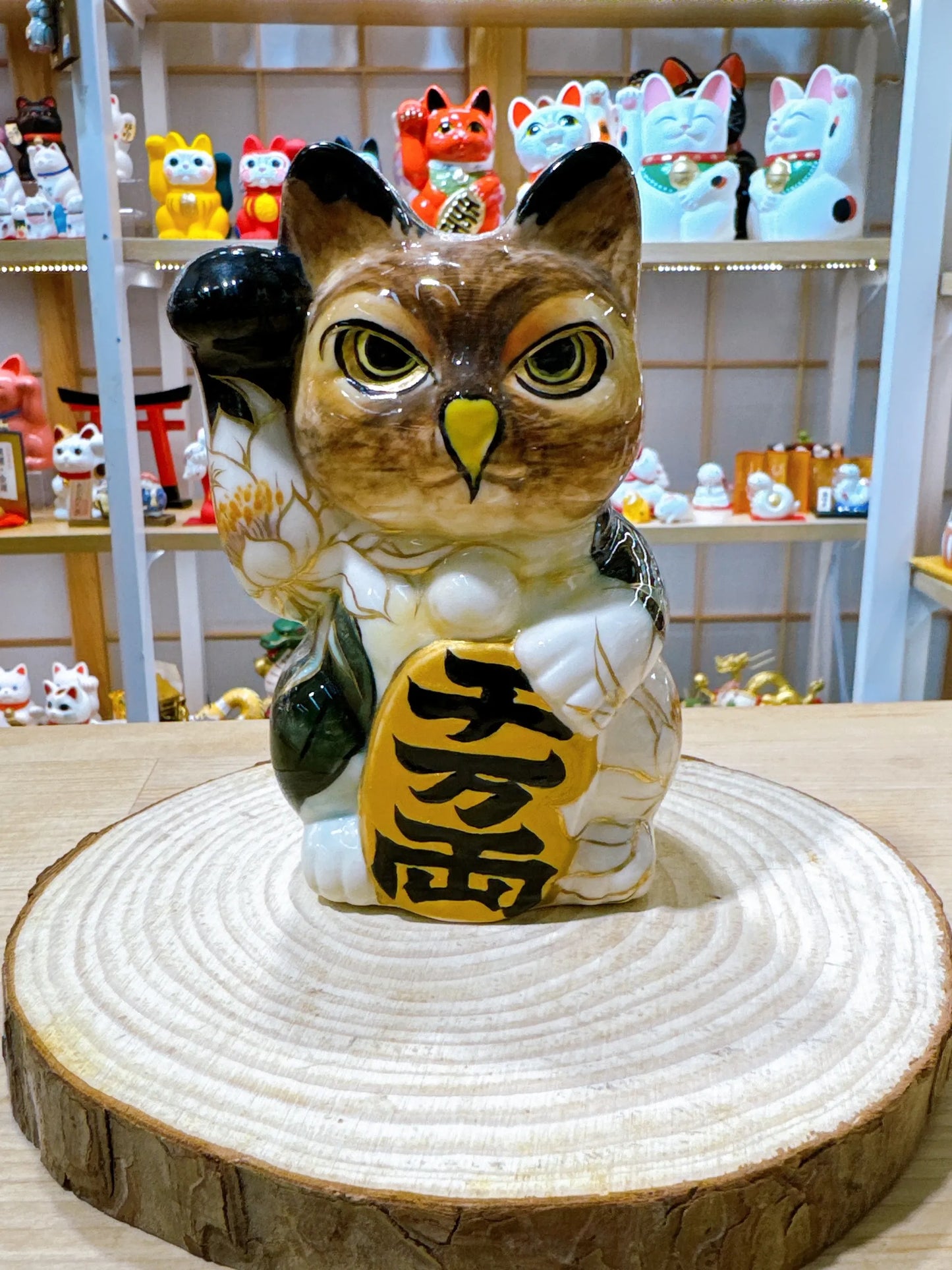 日本清水燒招財貓 貓頭鷹