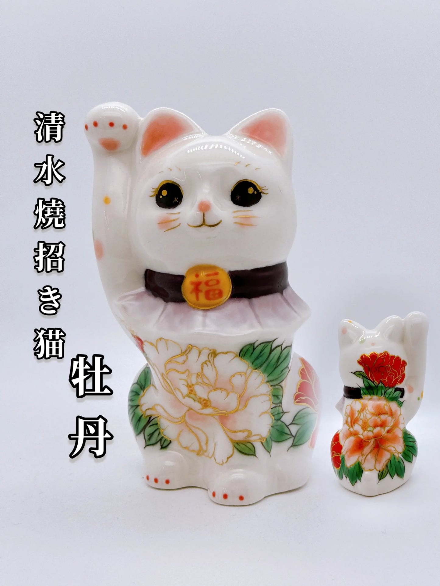 日本清水燒招財貓 色繪 白地牡丹