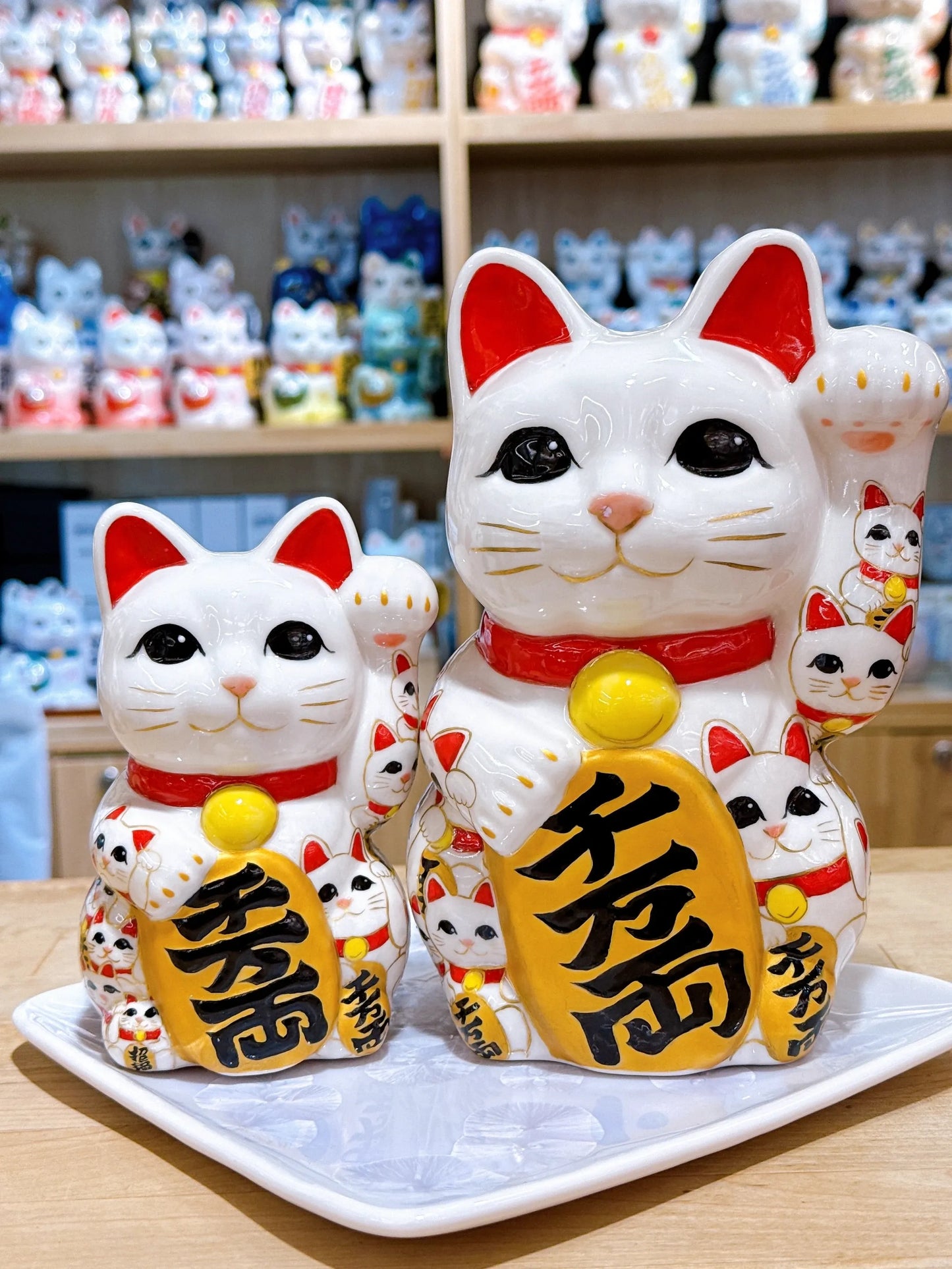 日本清水燒招財貓 豪德寺 貓陣 特大