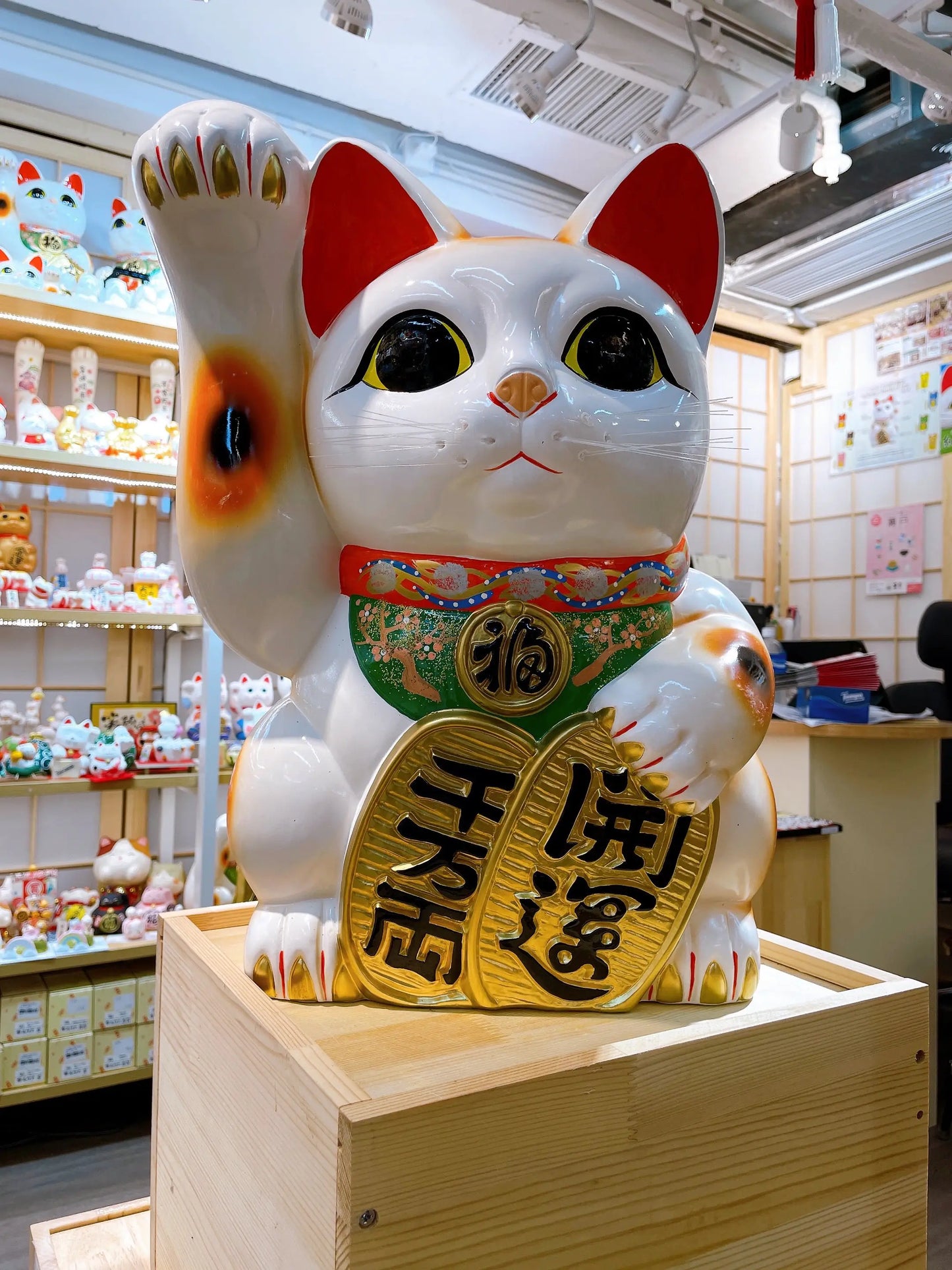 日本常滑小判招財貓 15號 右