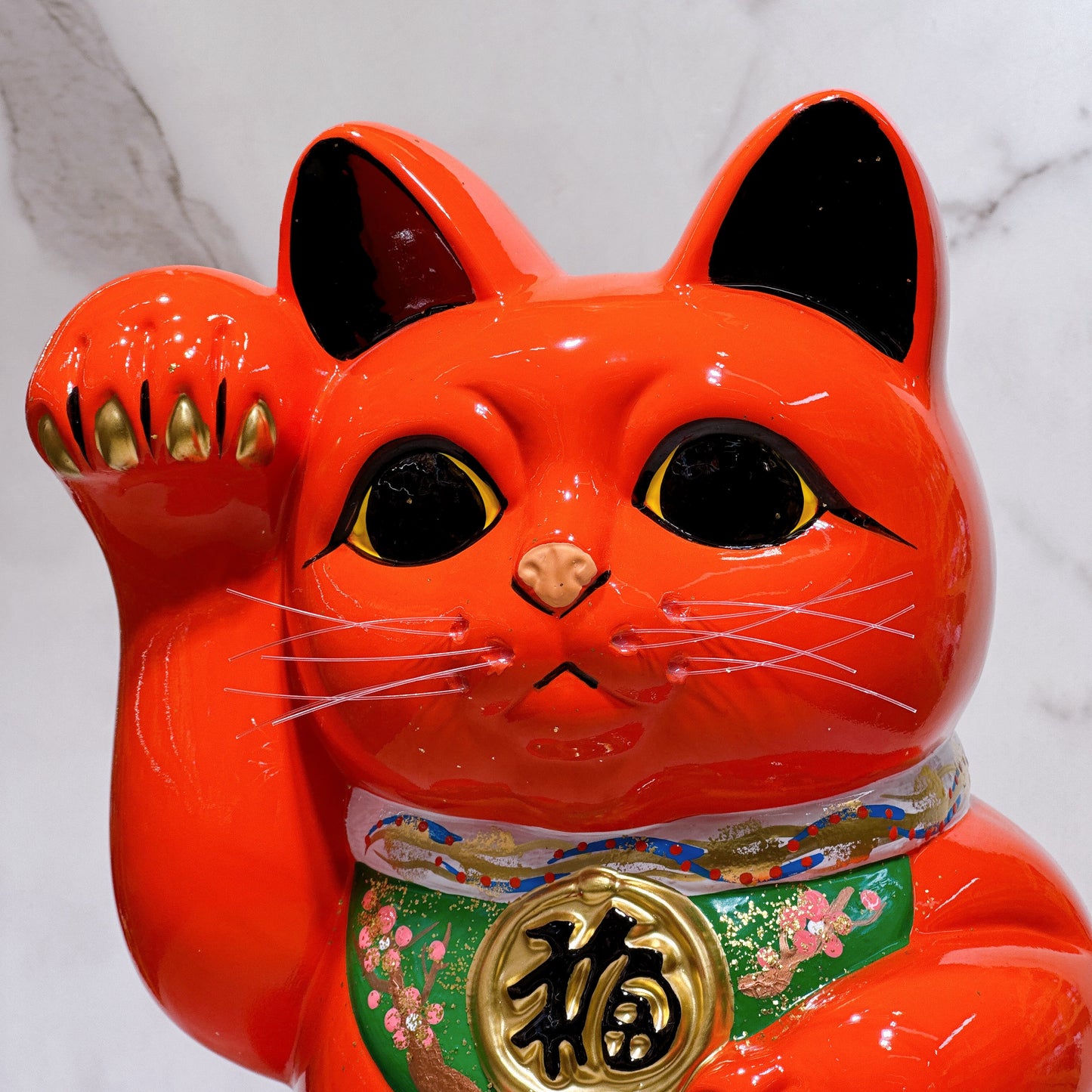 日本常滑小判招財貓 10號 右 赤