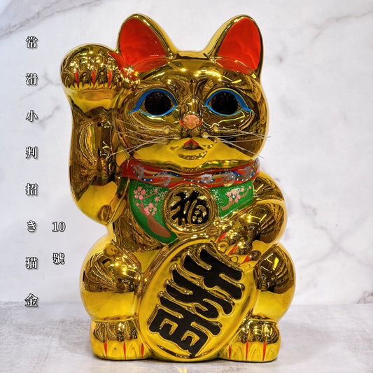 日本常滑小判招財貓 10號 右 金