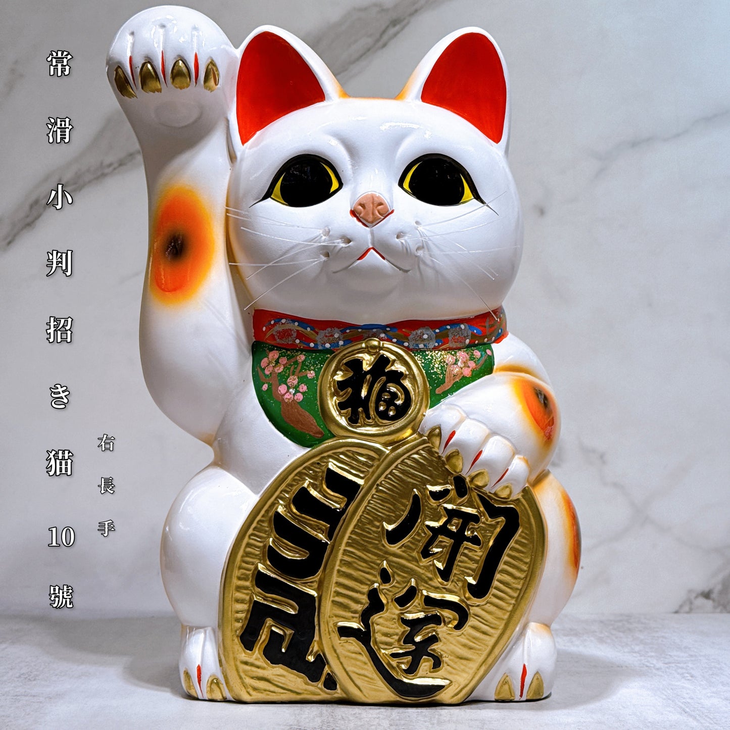 日本常滑小判招財貓 10號 右 長手