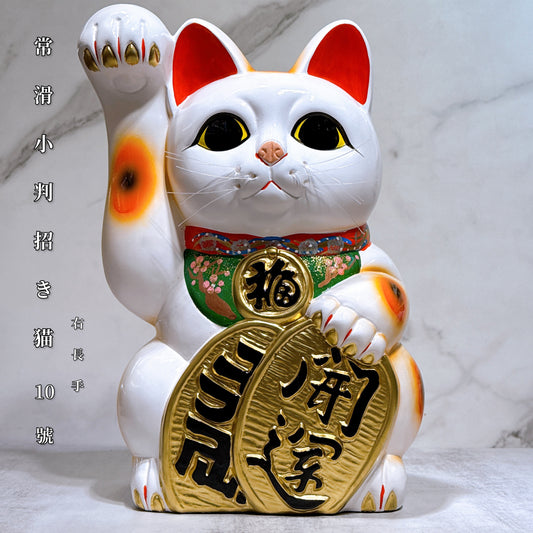 日本常滑小判招財貓 10號 右 長手