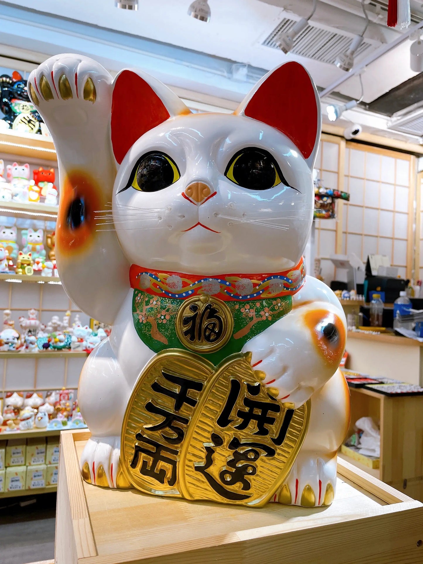 日本常滑小判招財貓 15號 右