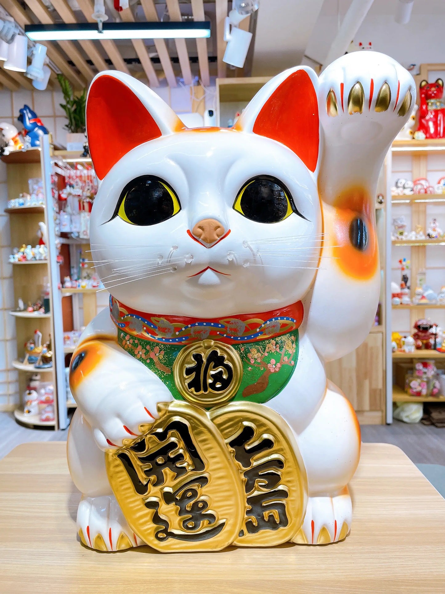 日本常滑小判招財貓 15號 左