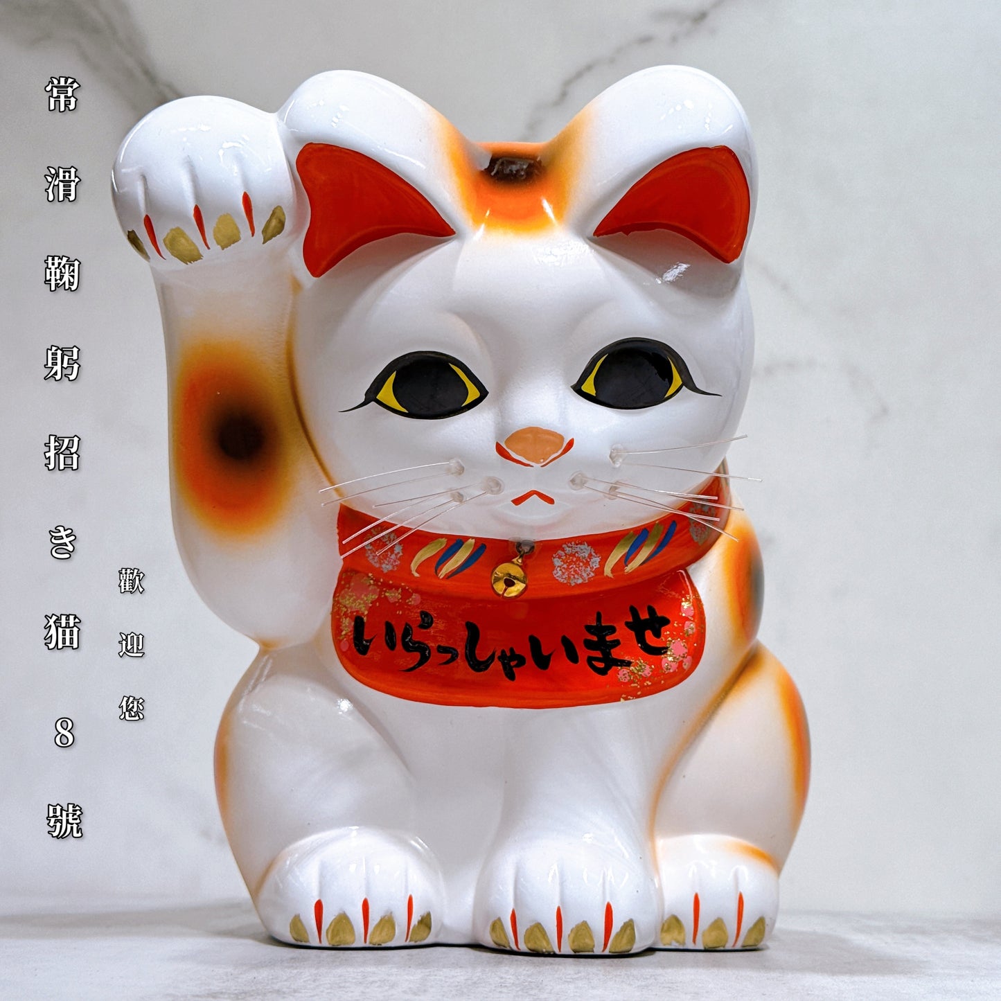 日本常滑鞠躬招財貓 8號 歡迎您