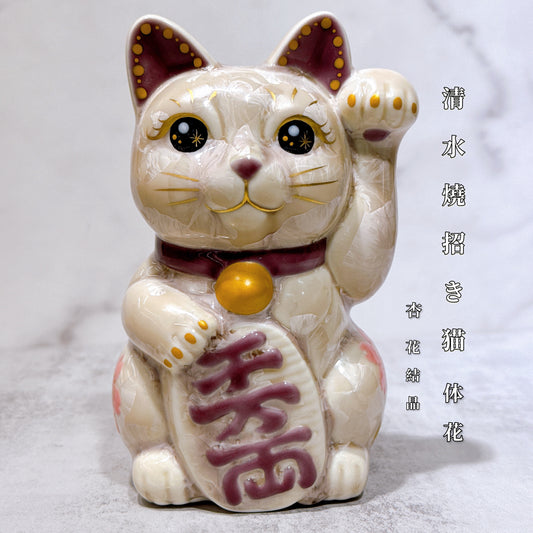 日本清水燒招財貓 花結晶 杏 体花 千万両 左