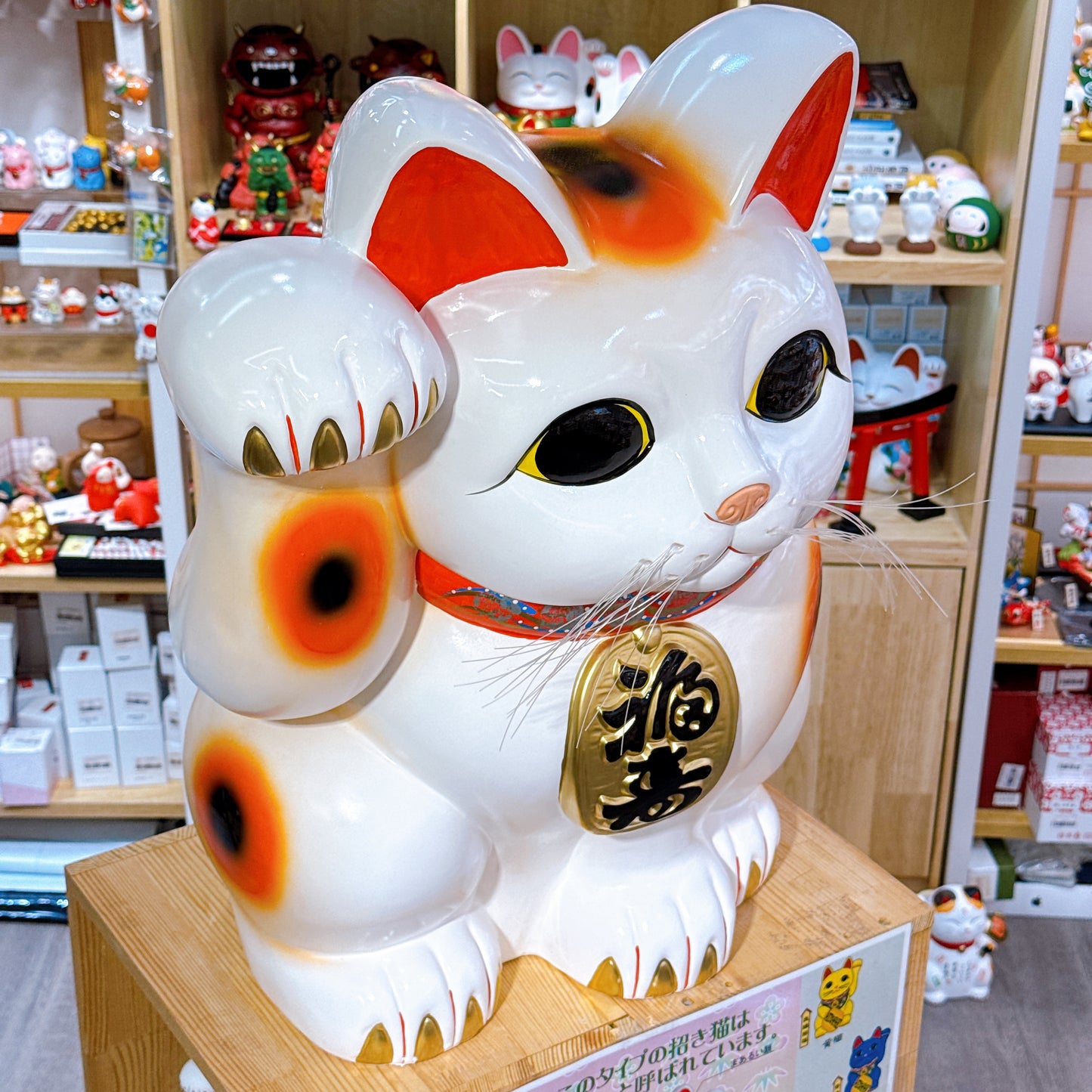 日本常滑招福貓 20號