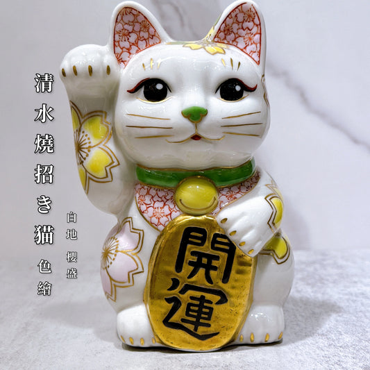日本清水燒招財貓 白地 櫻盛