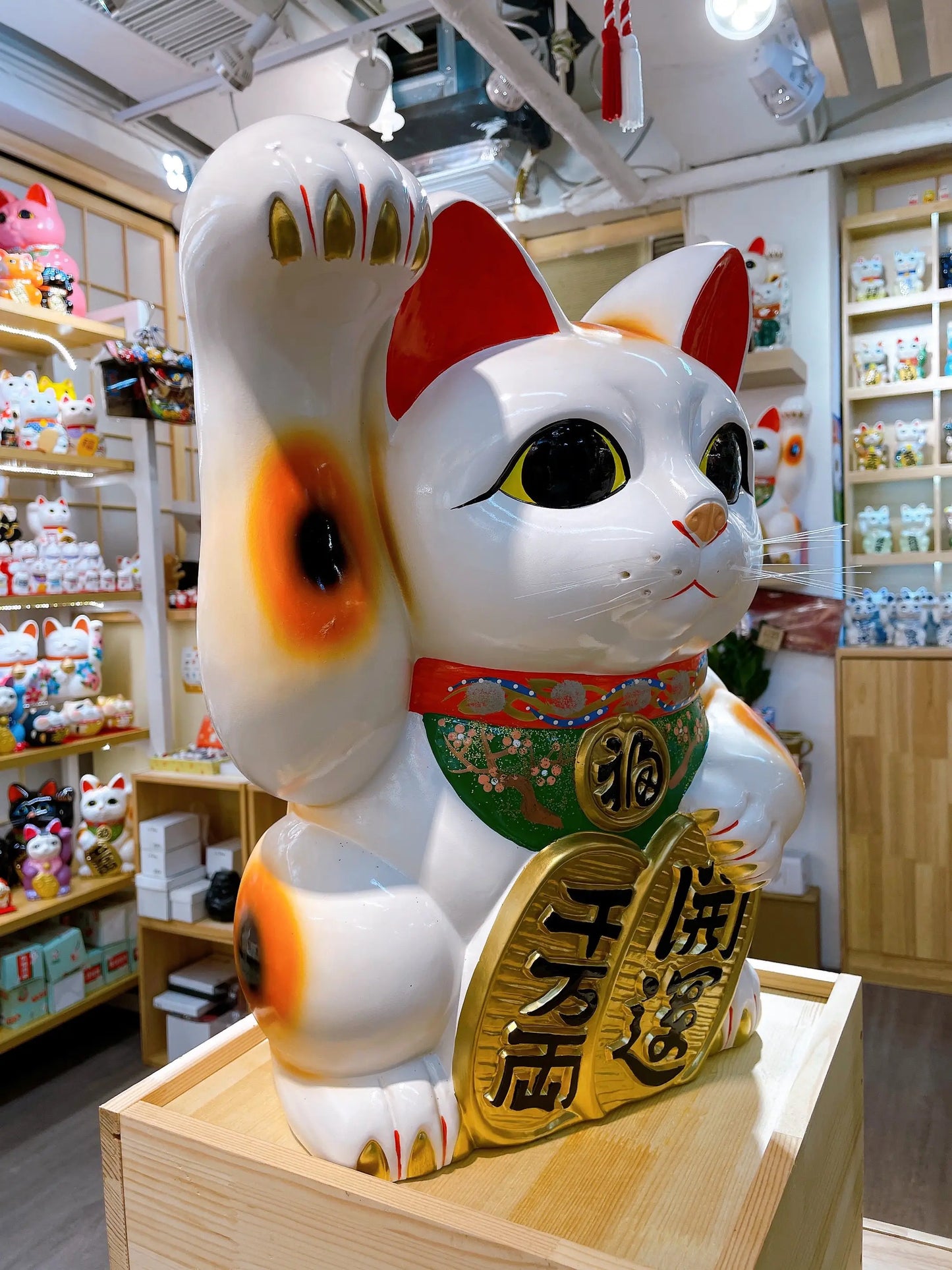 日本常滑小判招財貓 15號 右