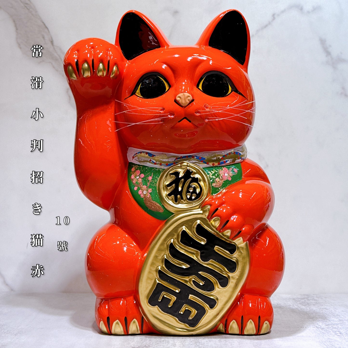 日本常滑小判招財貓 10號 右 赤