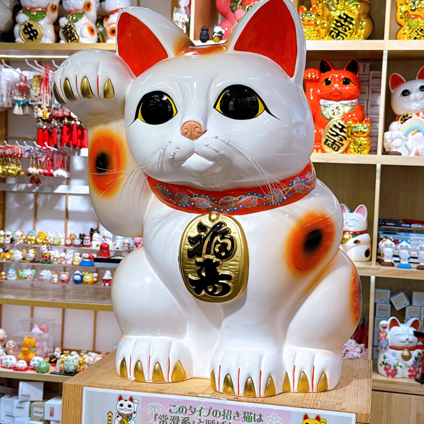 日本常滑招福貓 20號