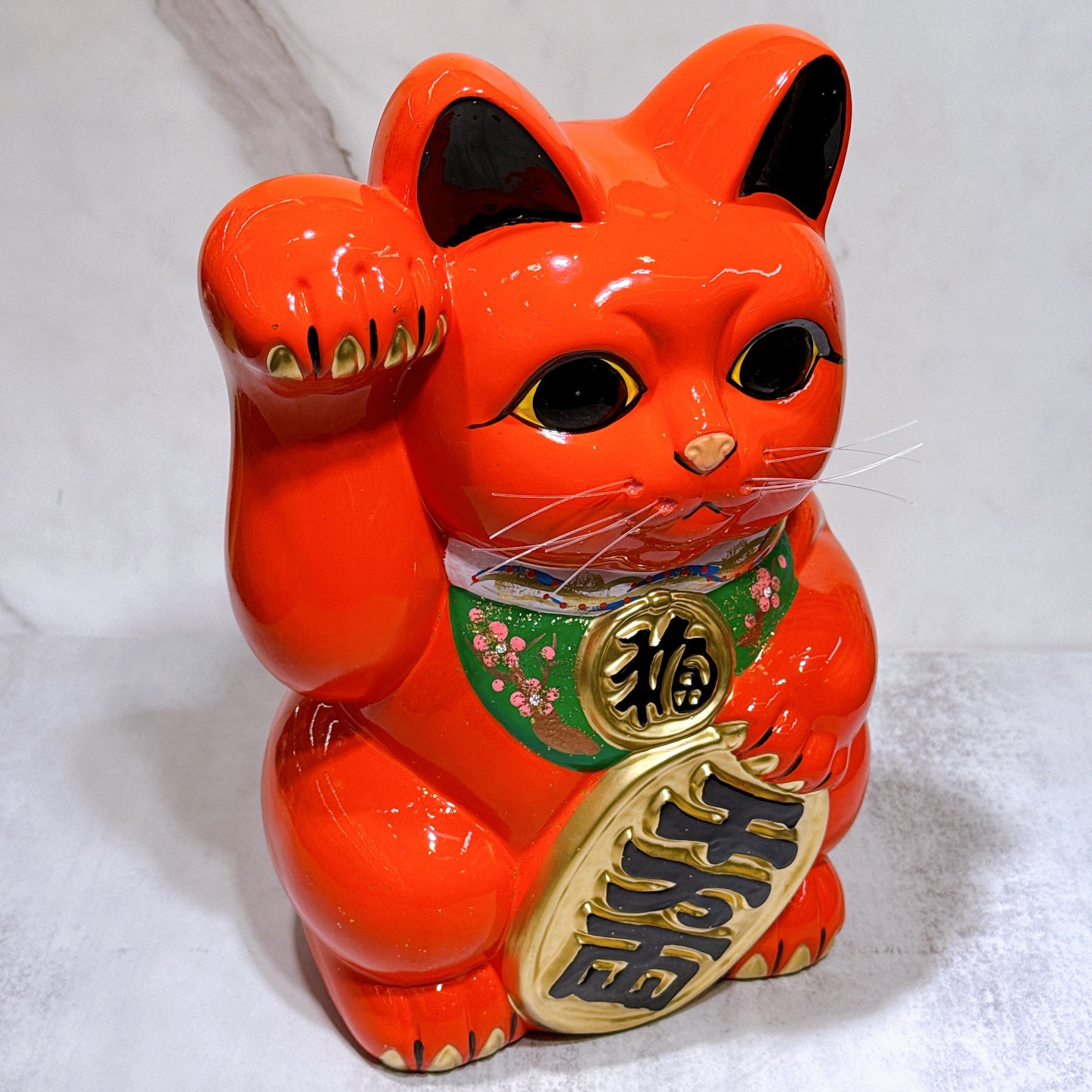日本常滑小判招財貓 10號 右 赤