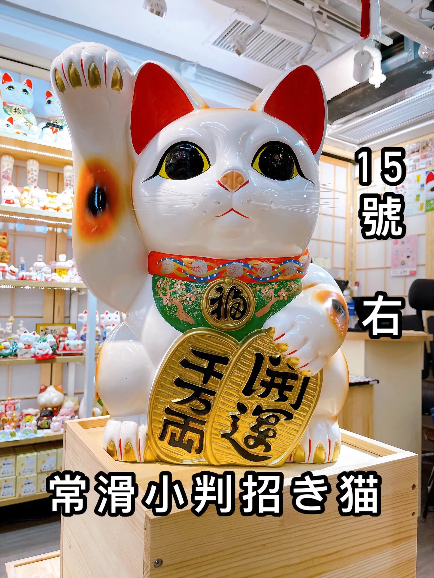 日本常滑小判招財貓 15號 右