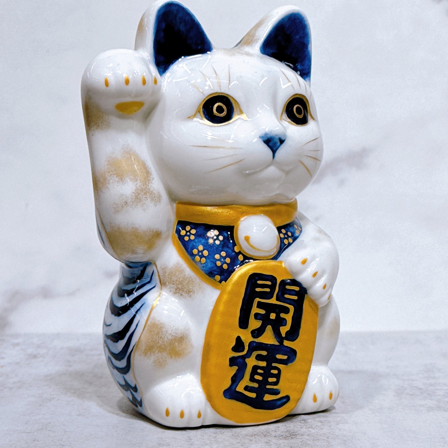 日本清水燒招財貓 染付 金彩 伊藤若沖 虎