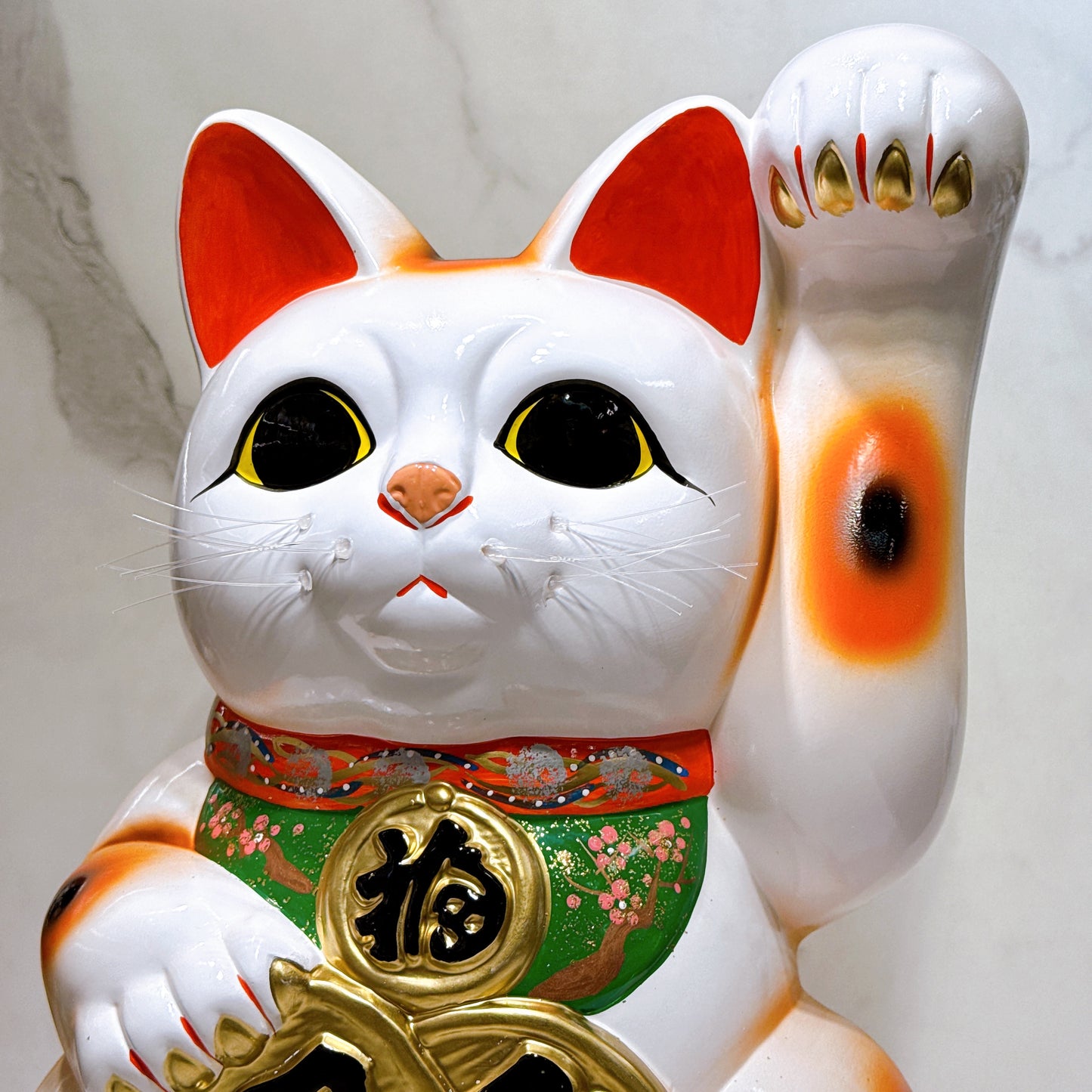 日本常滑雙小判招財貓 13號 左