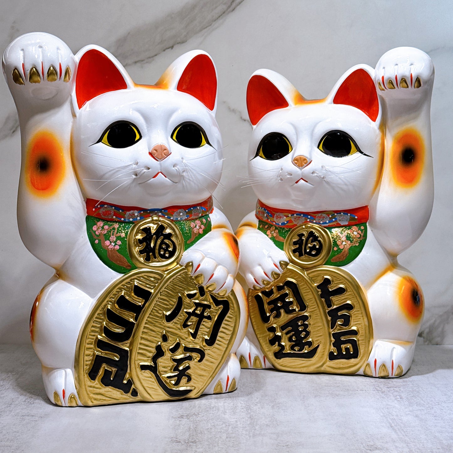 日本常滑小判招財貓 10號 左 長手