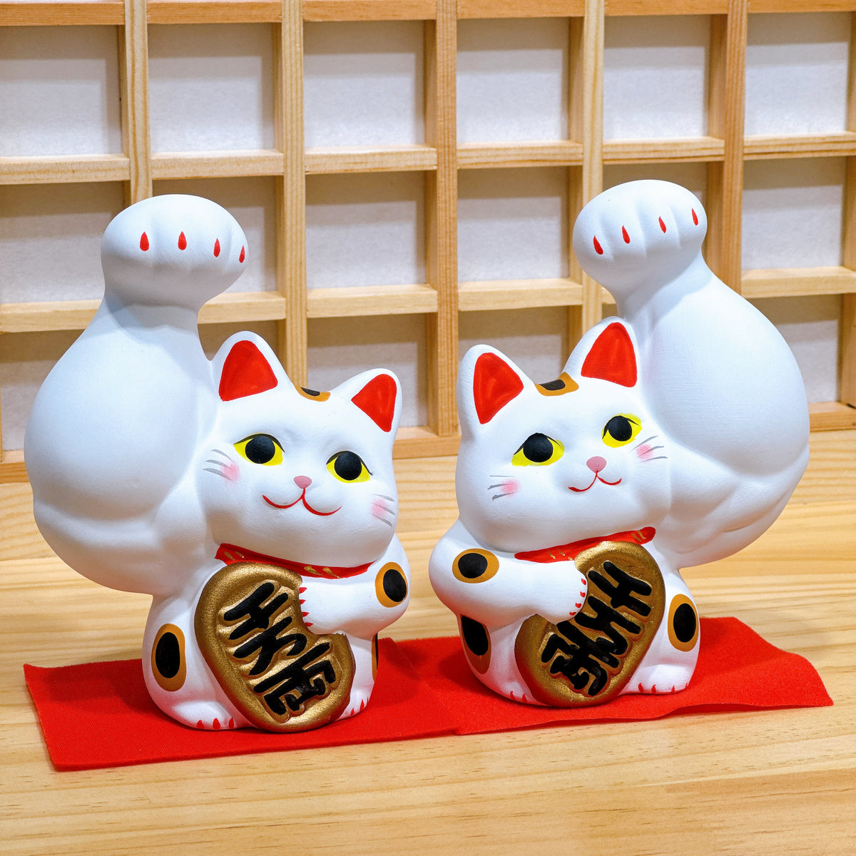 日本筋肉小判招財貓 白