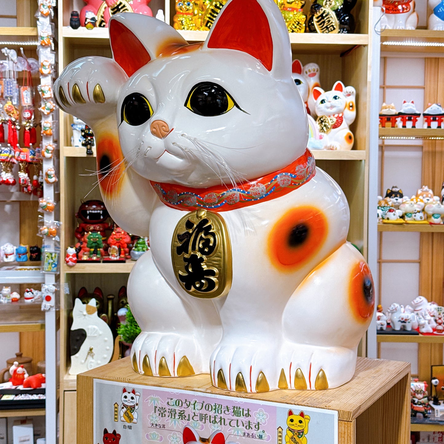 日本常滑招福貓 20號