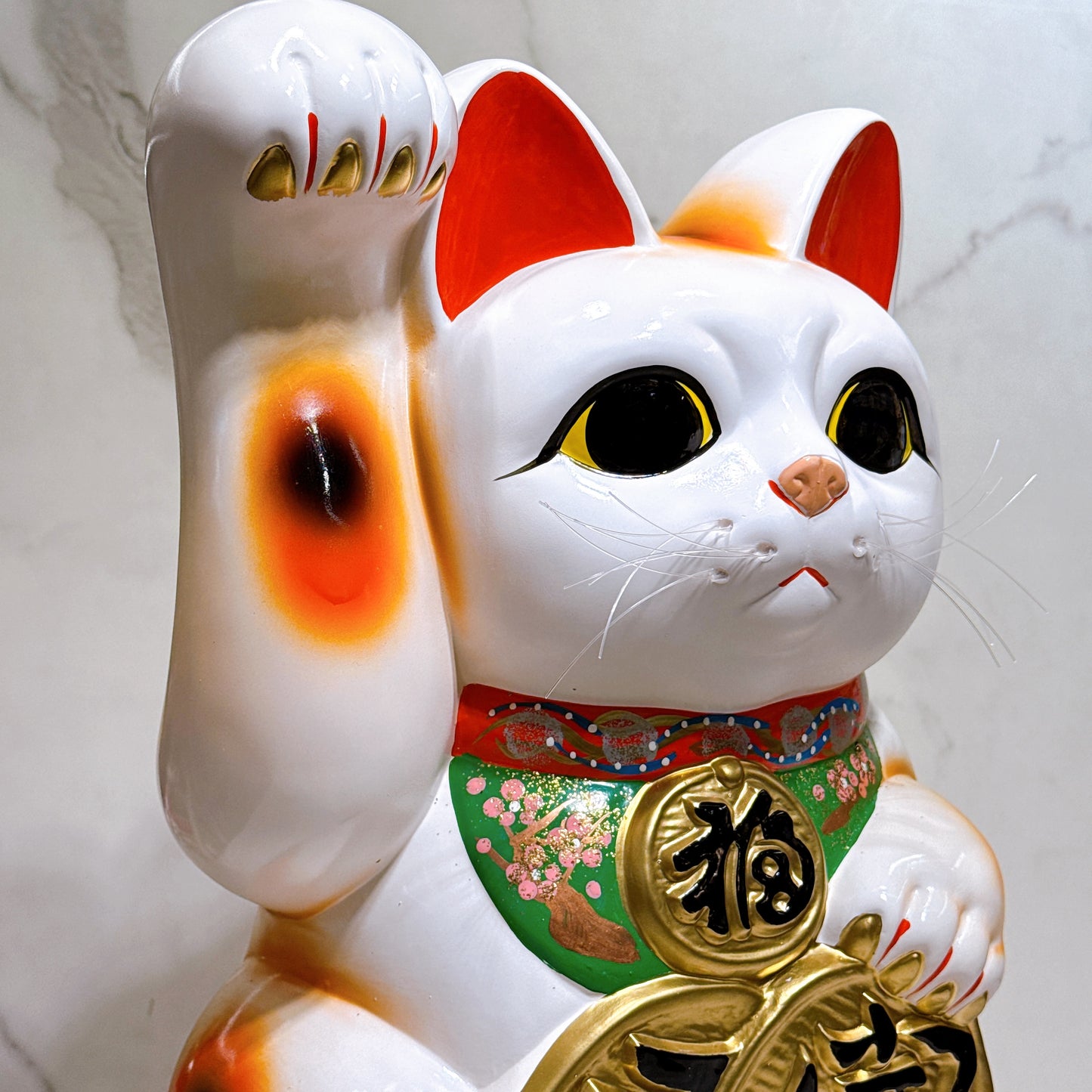日本常滑雙小判招財貓 13號 右