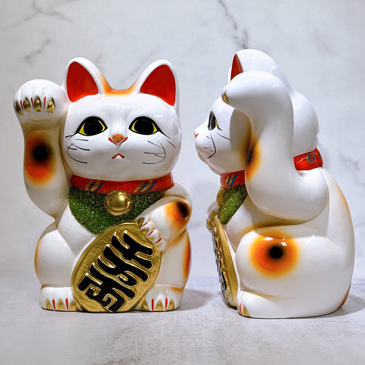 日本常滑小判招財貓 6號 白色