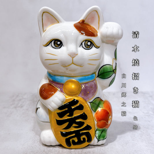 日本清水燒招財貓 色繪 白川鄉之貓