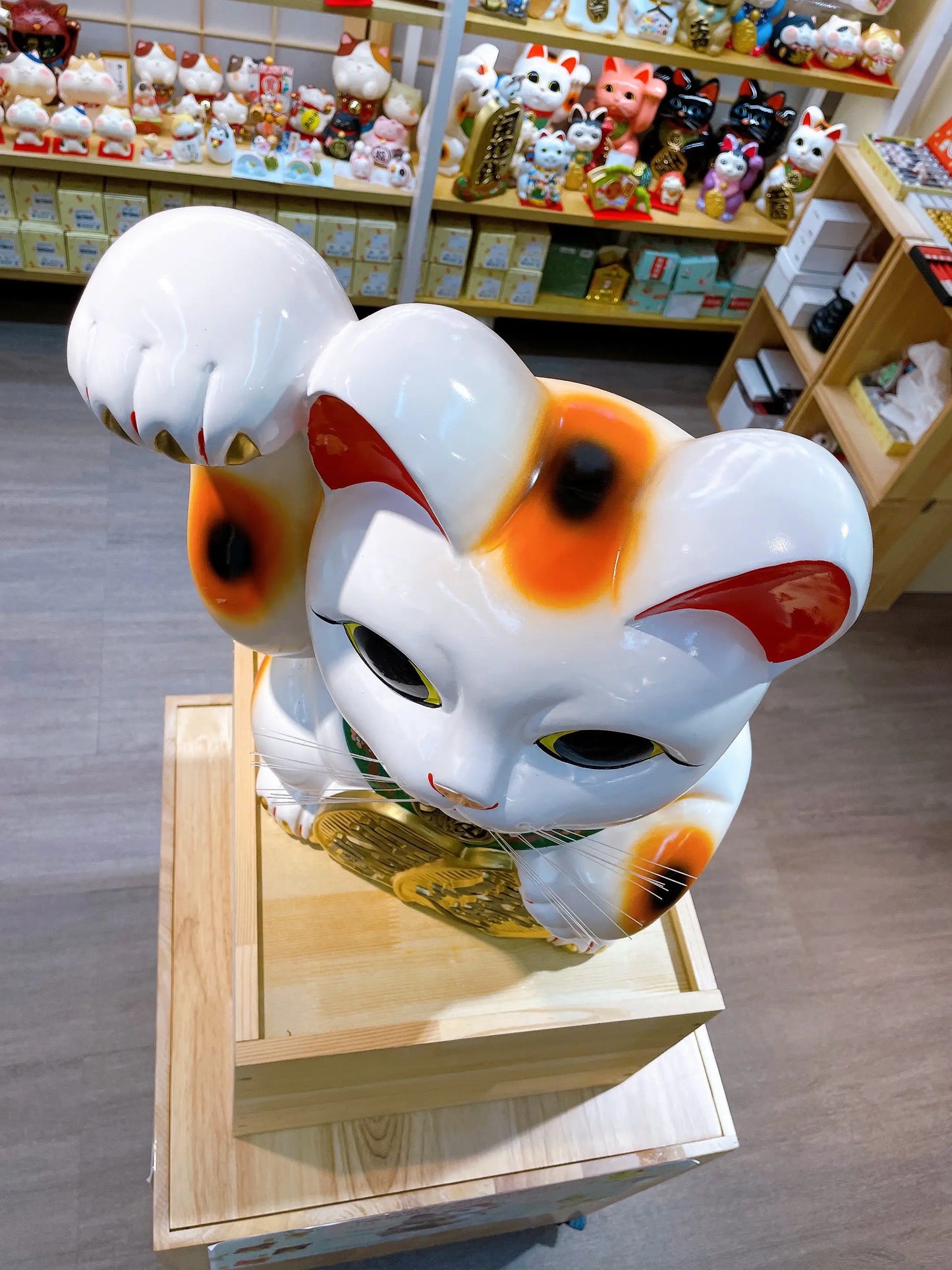 日本常滑小判招財貓 15號 右