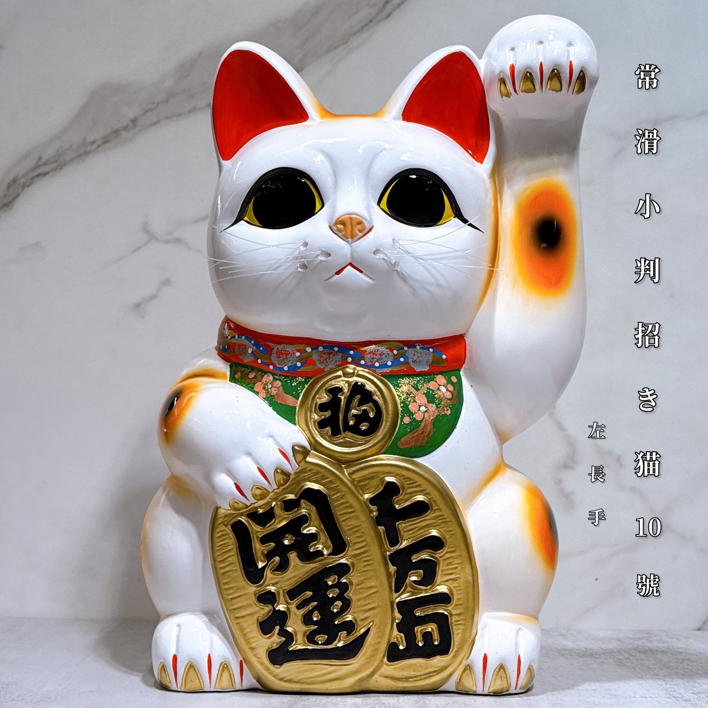 日本常滑小判招財貓 10號 左 長手
