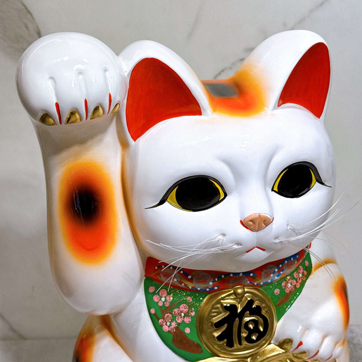 日本常滑雙小判招財貓 13號 右