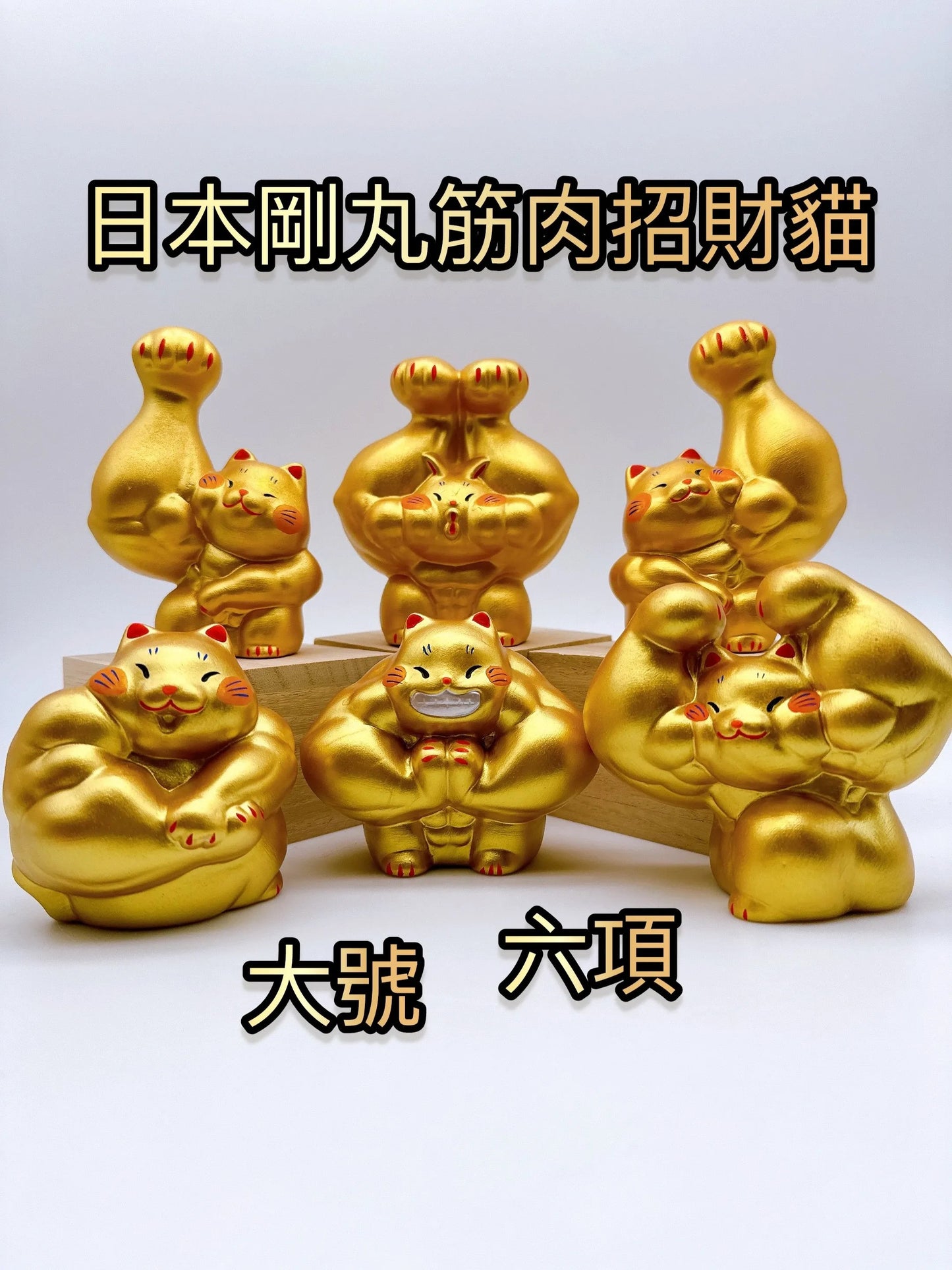 日本剛丸筋肉招財貓 大號 六項