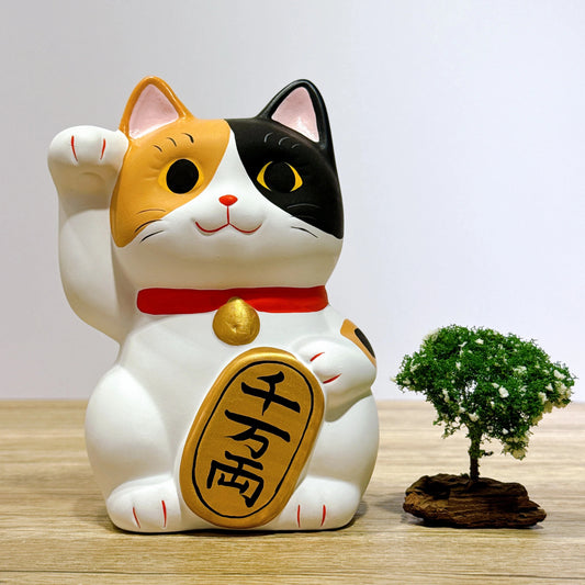 日本谷中堂招財貓 小判 三毛