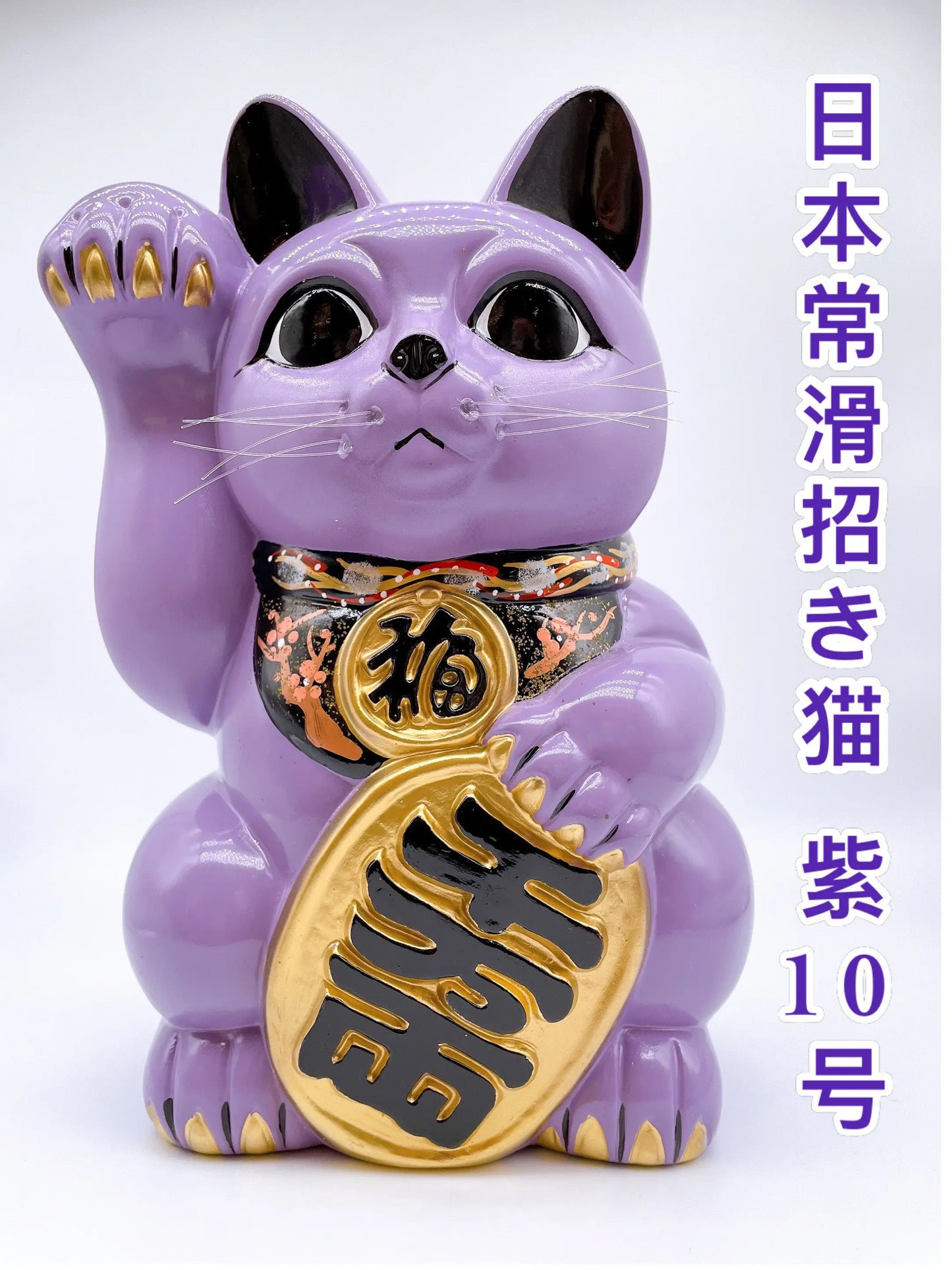 日本常滑小判招財貓 10號 紫