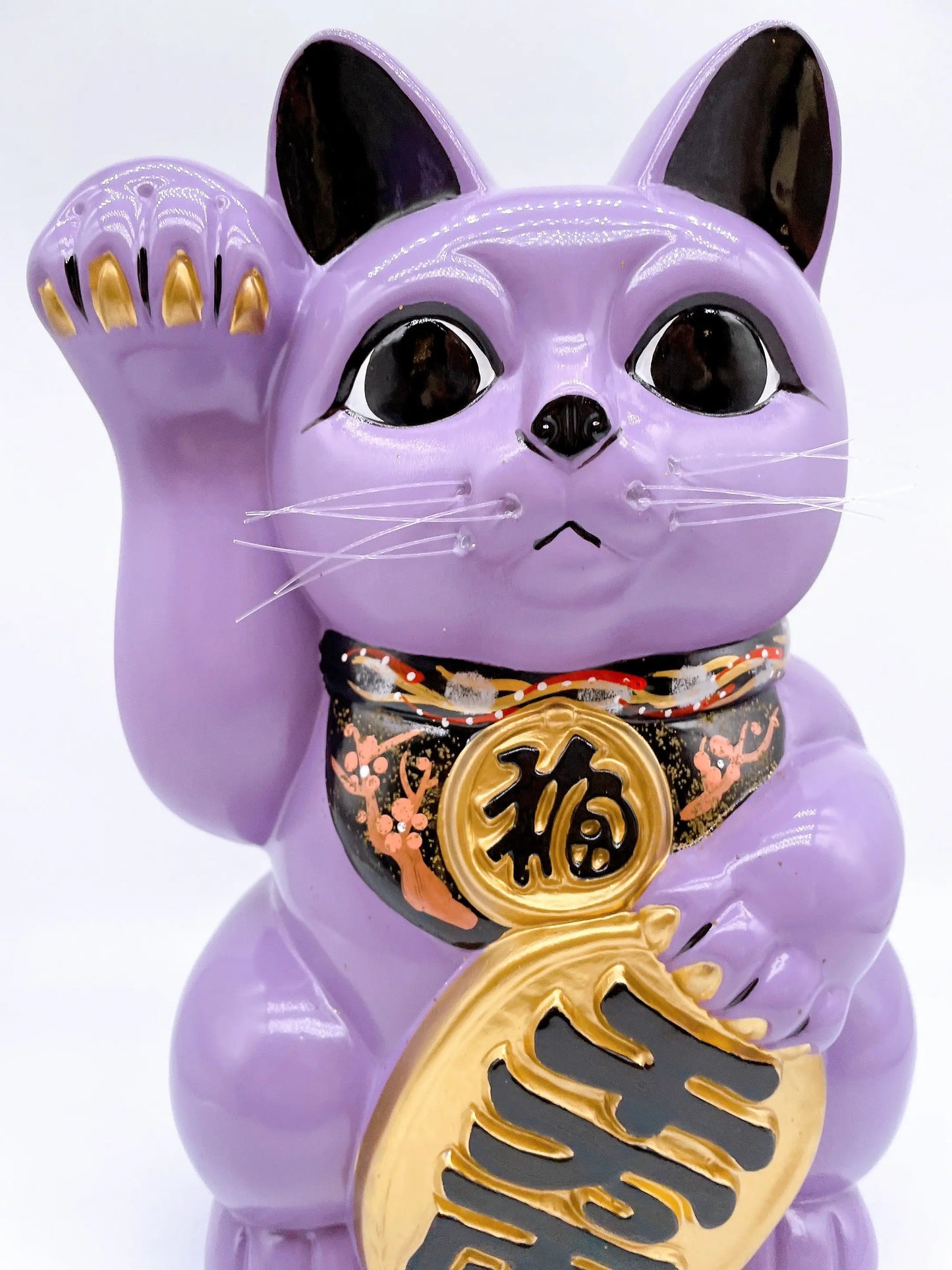 日本常滑小判招財貓 10號 紫