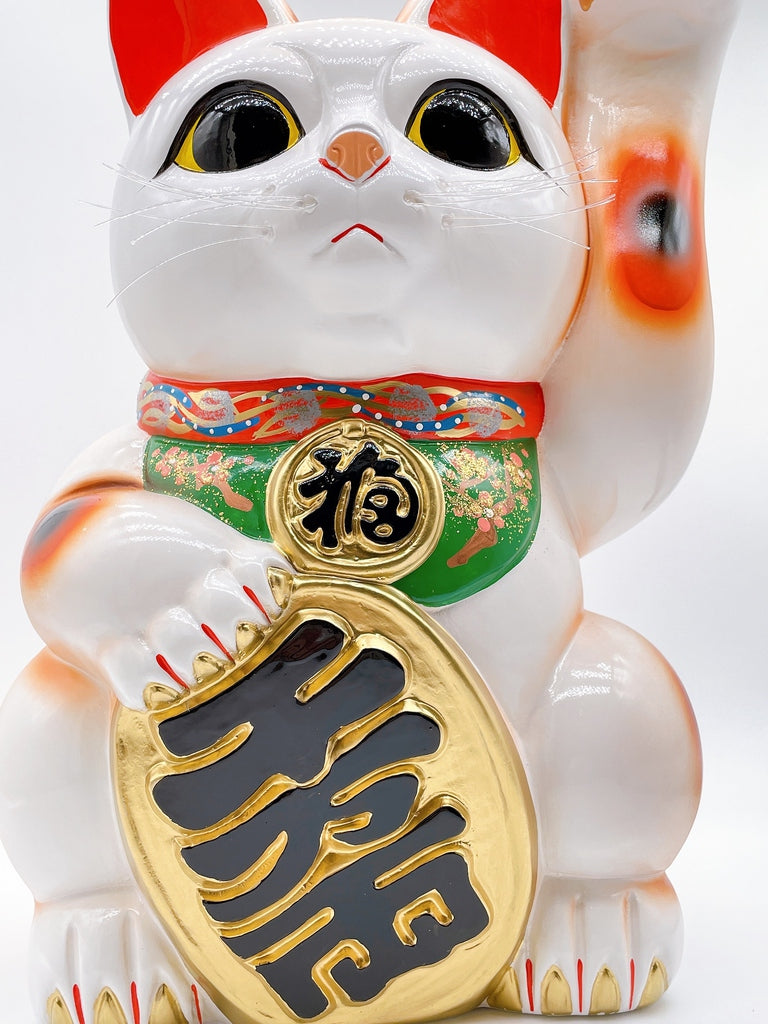 日本常滑長手小判招財貓 13號左 特大