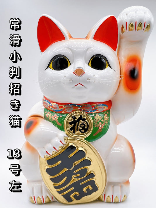 日本常滑長手小判招財貓 13號左 特大