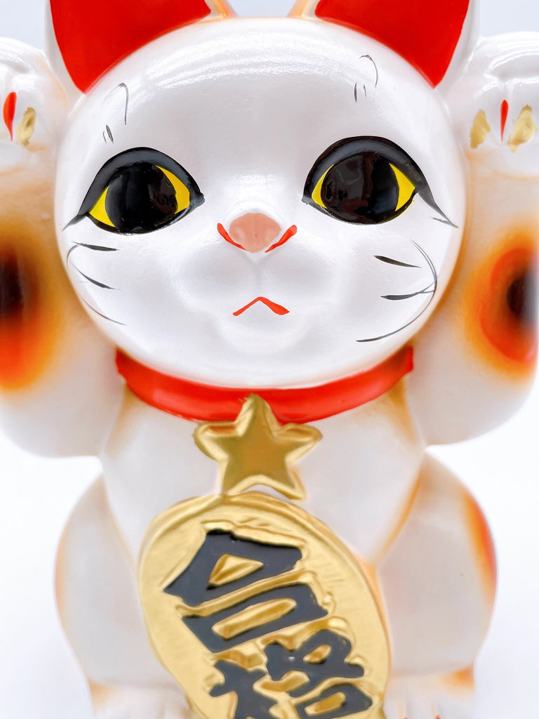 日本常滑合格祈願招財貓