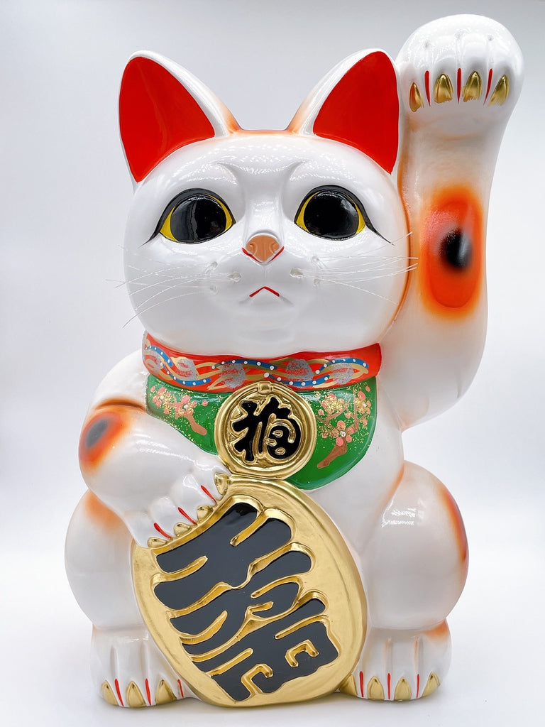 日本常滑長手小判招財貓 13號左 特大