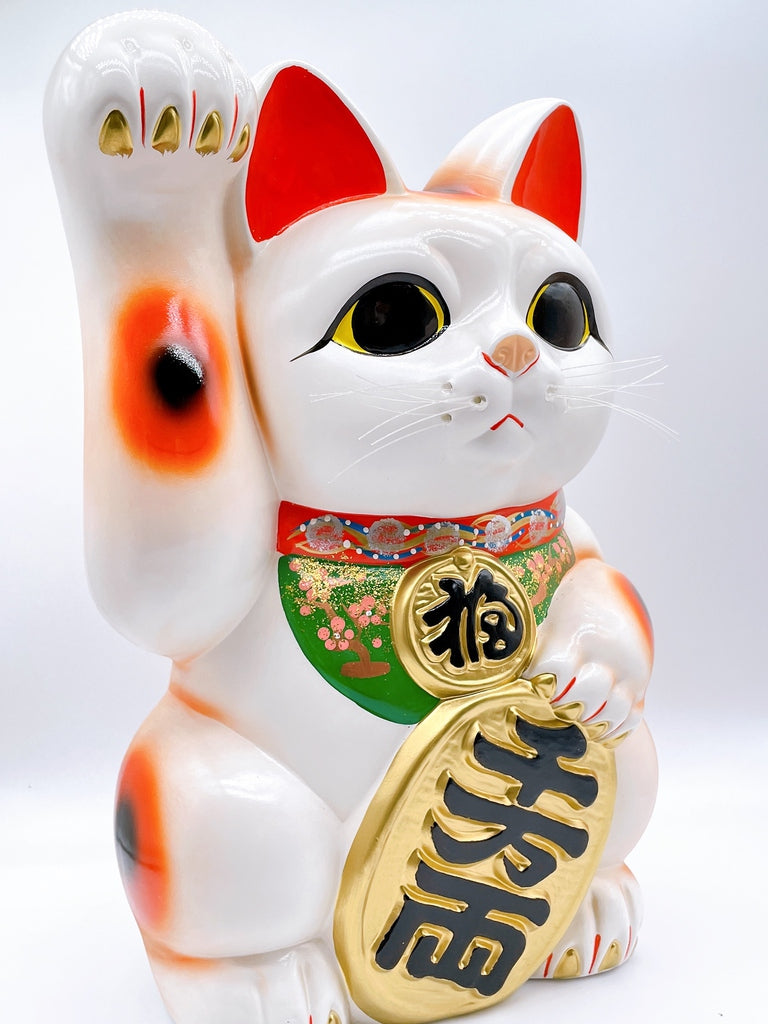 日本常滑長手小判招財貓 13號右 特大