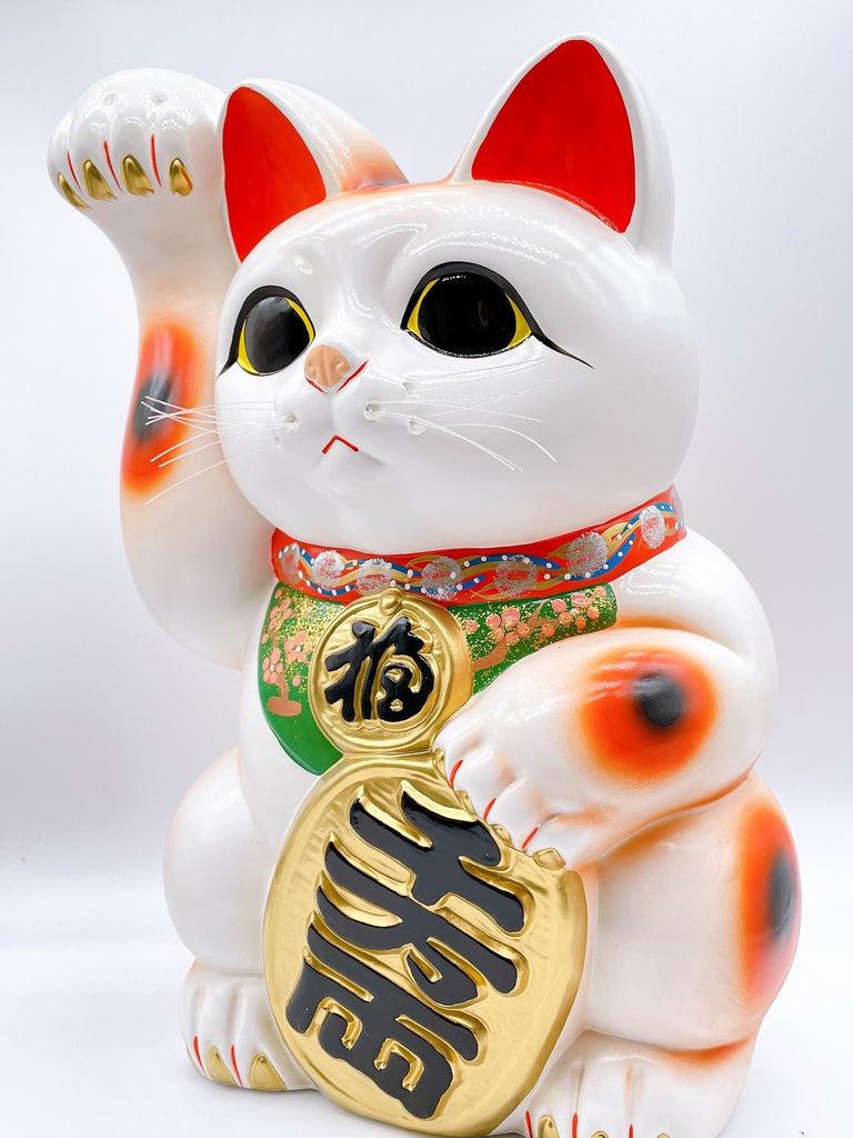 日本常滑長手小判招財貓 13號右 特大
