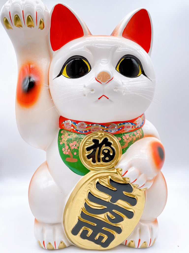 日本常滑長手小判招財貓 13號右 特大